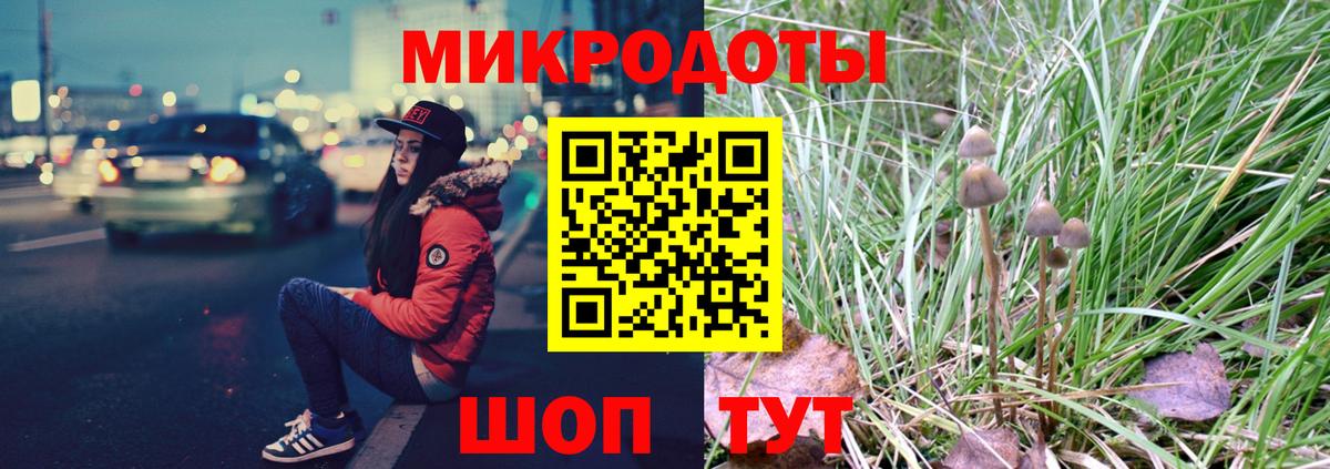 где купить наркотик  Псилоцибиновые грибы Psilocybine cubensis  Вход с VPN  Саянск 