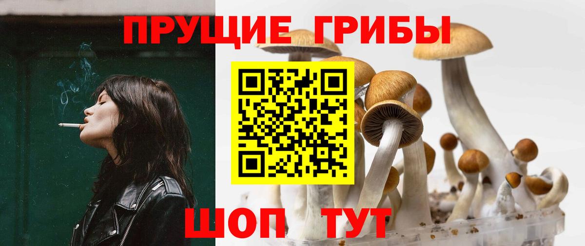 Псилоцибиновые грибы GOLDEN TEACHER Саянск